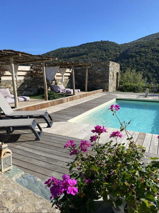 Chambres D'Hotes Et Studios De Charme - A Mandria Murato Buitenkant foto